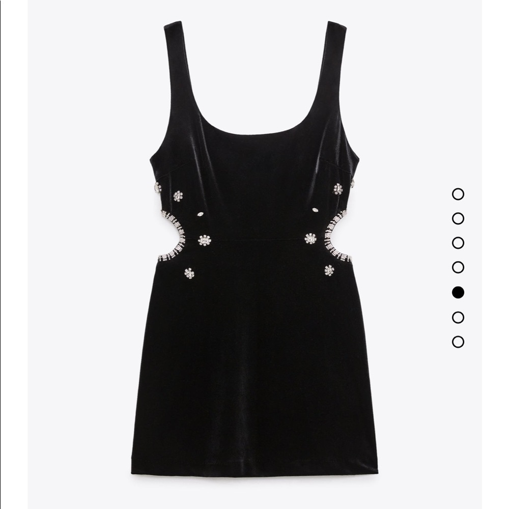 NWT Zara Jewel Trim Velvet Dress